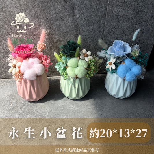 Gift-FP05 永生陶瓷小盆花 白色 粉色 綠色 藍色 盆花 開幕 送禮 慶賀 擺飾 裝飾品