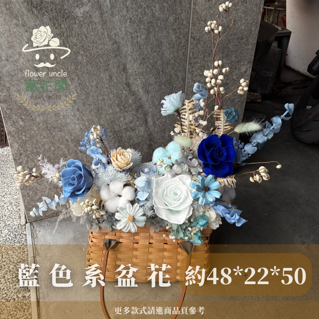 Gift-FB09-60 藍色系提籃盆花 藍色 盆花 提籃 花籃 開幕 送禮 慶賀 裝飾 擺飾