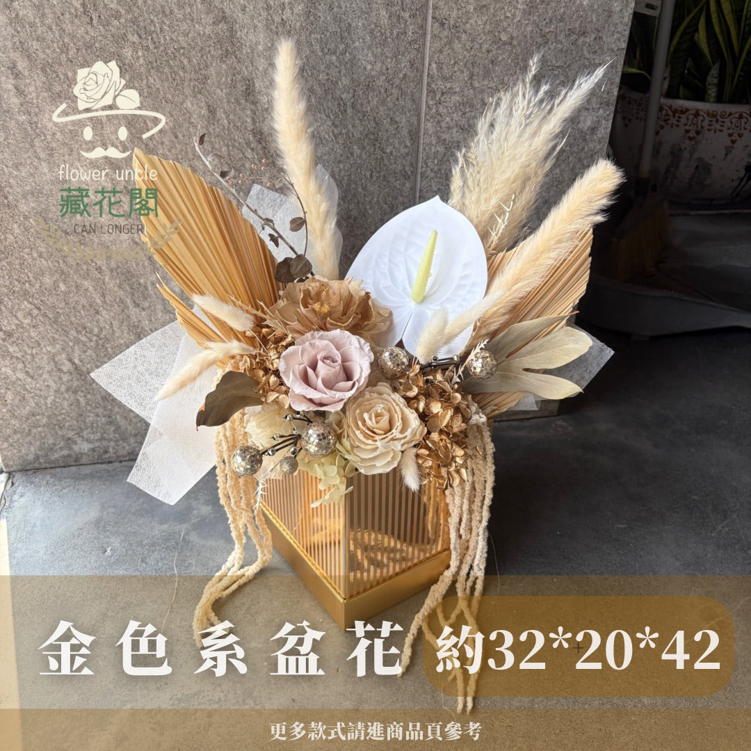 Gift-FZ04 金色系盆花禮盒 金色 卡其色 白色 盆花 禮盒 開幕 送禮 慶賀 擺飾 裝飾品 新年