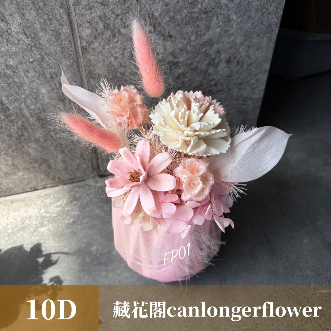 Gift-FP01 乾燥陶瓷小盆花 (含XS梯形透明提袋) 白色 粉色 綠色 藍色 盆花 開幕 送禮 慶賀 擺飾 裝飾品