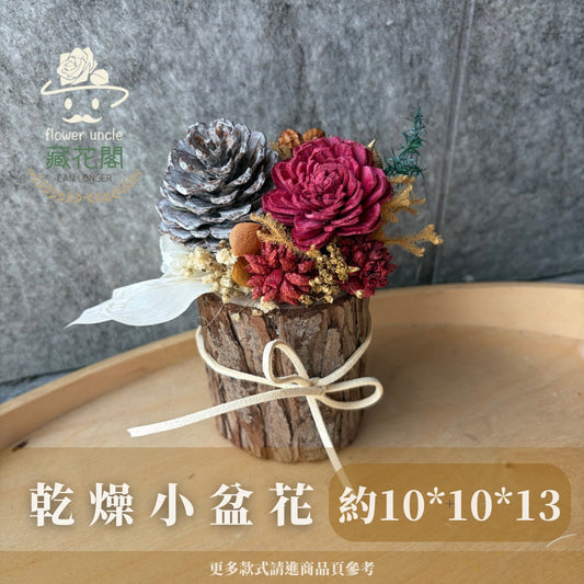 Gift-FE01 乾燥色原木造型盆花 原木 乾燥色 盆花 送禮 裝飾 擺飾
