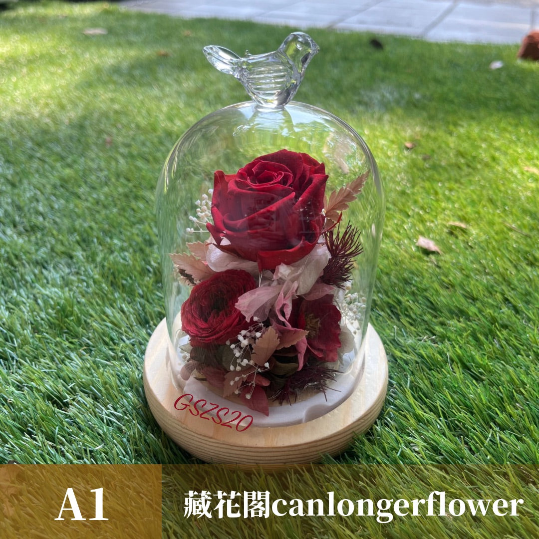 GSZS20 紅色系永生罩盅S