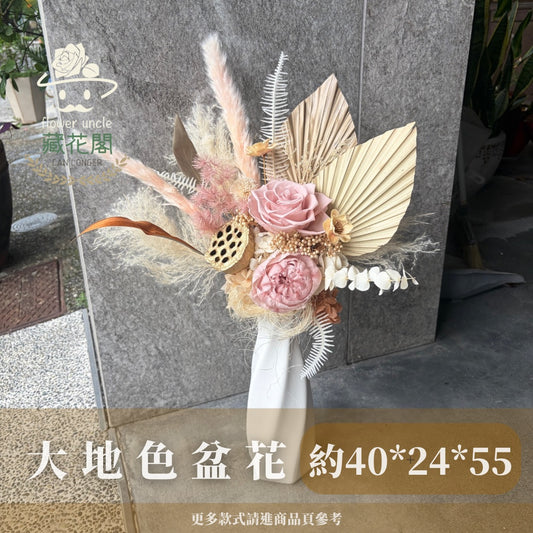 Gift-FP14 大地色系永生陶瓷盆花 大地色 奶茶色 卡其色 陶瓷 盆花 開幕 送禮 慶賀 擺飾 裝飾品