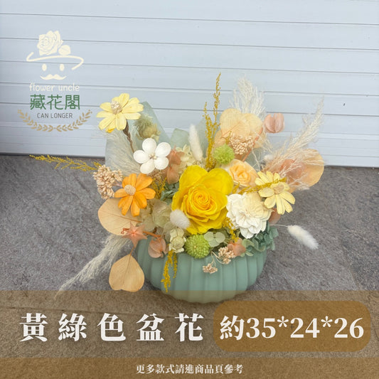 Gift-FP15-50黃綠色系永生陶瓷盆花 黃色 綠色 陶瓷 盆花 開幕 送禮 慶賀 擺飾 裝飾品