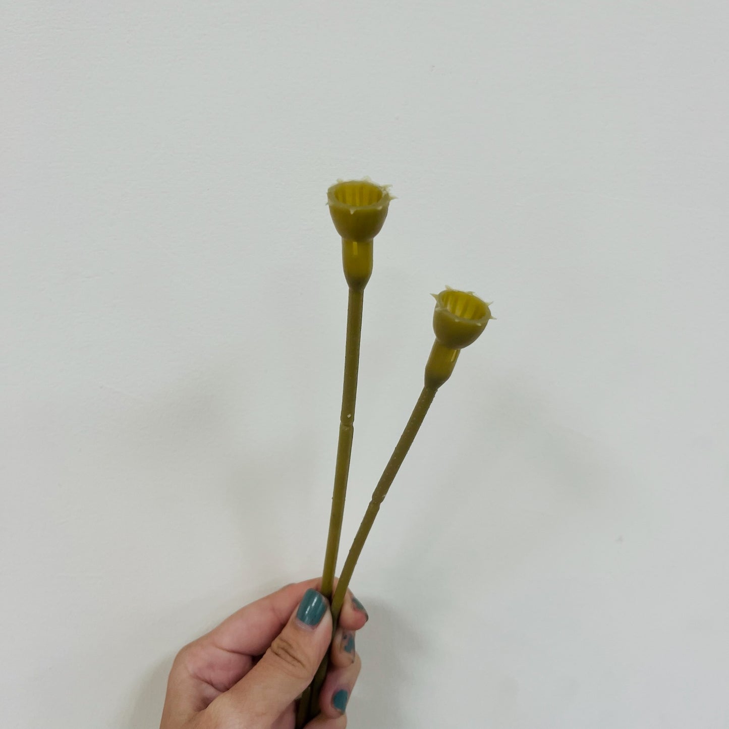 EM046 花莖/香皂花桿