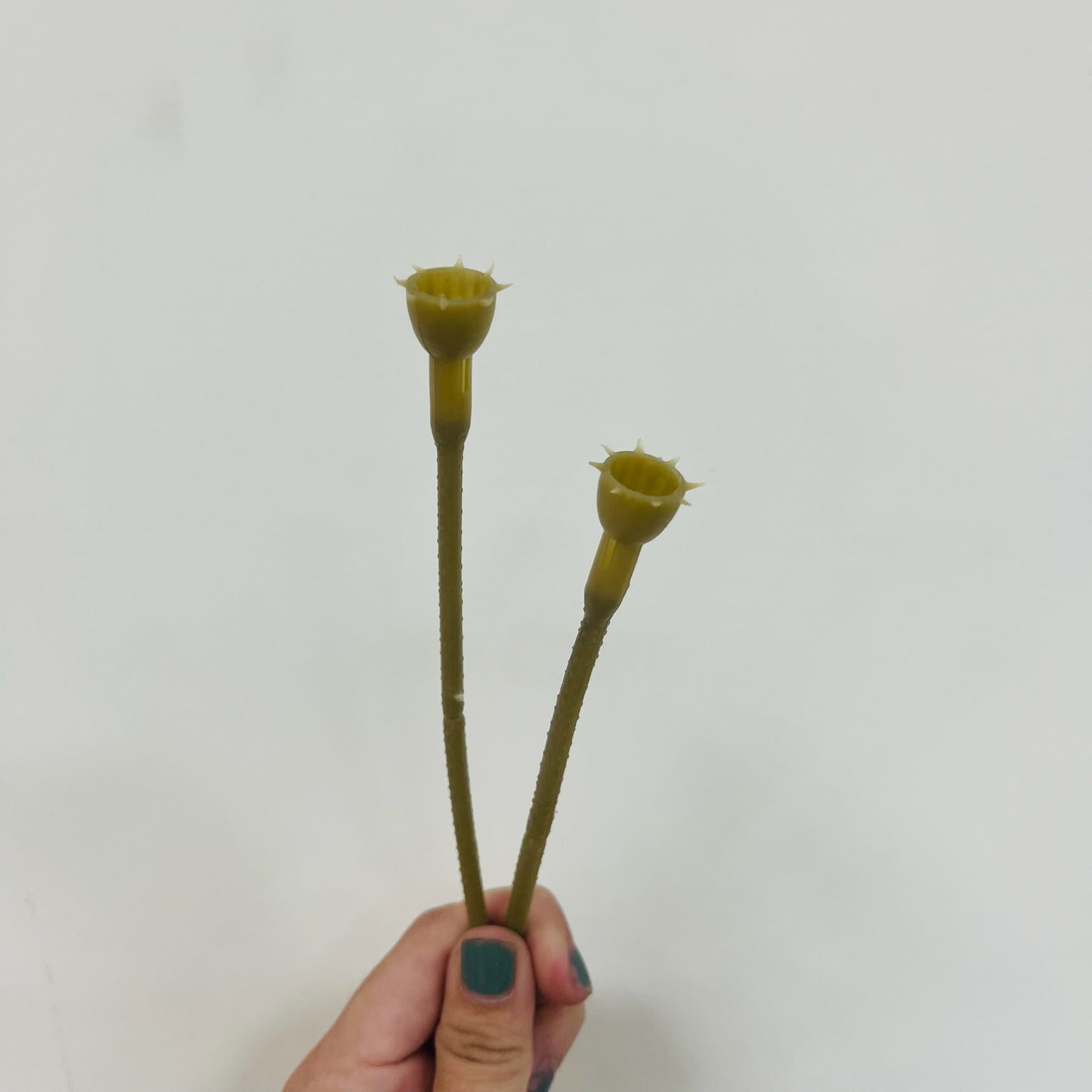 EM046 花莖/香皂花桿