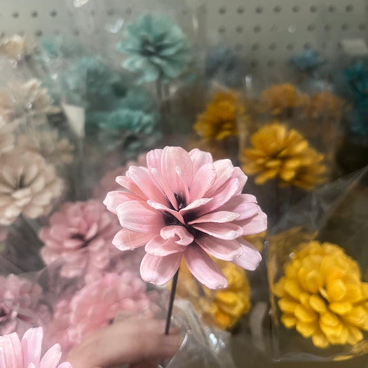 ✿ 台灣現貨 ✿ SH53 瓜子花(球) 單朵 小份量