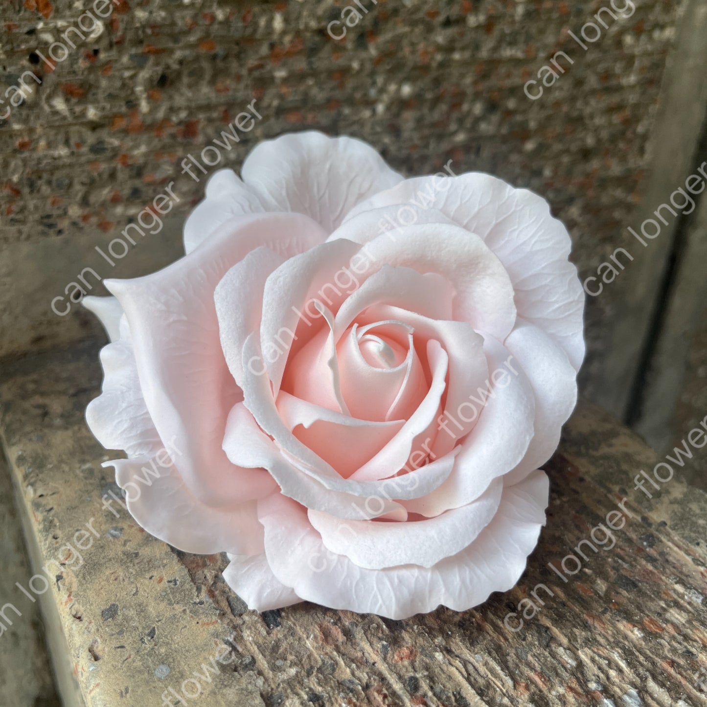 ✿ 台灣現貨 ✿ AS010 愛心玫瑰