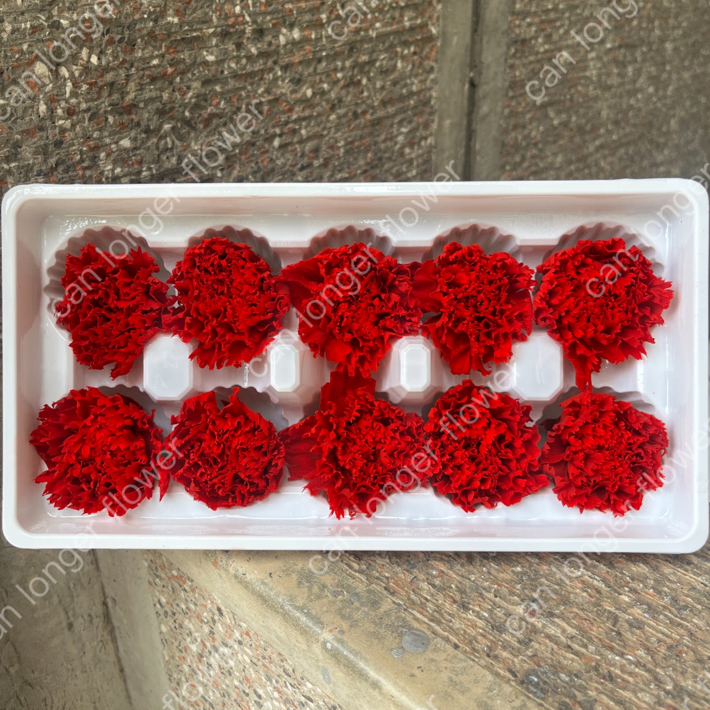 ✿ 台灣現貨 ✿ 花大伯 K10 永生康乃馨 3~4cm Ａ級  單朵裝