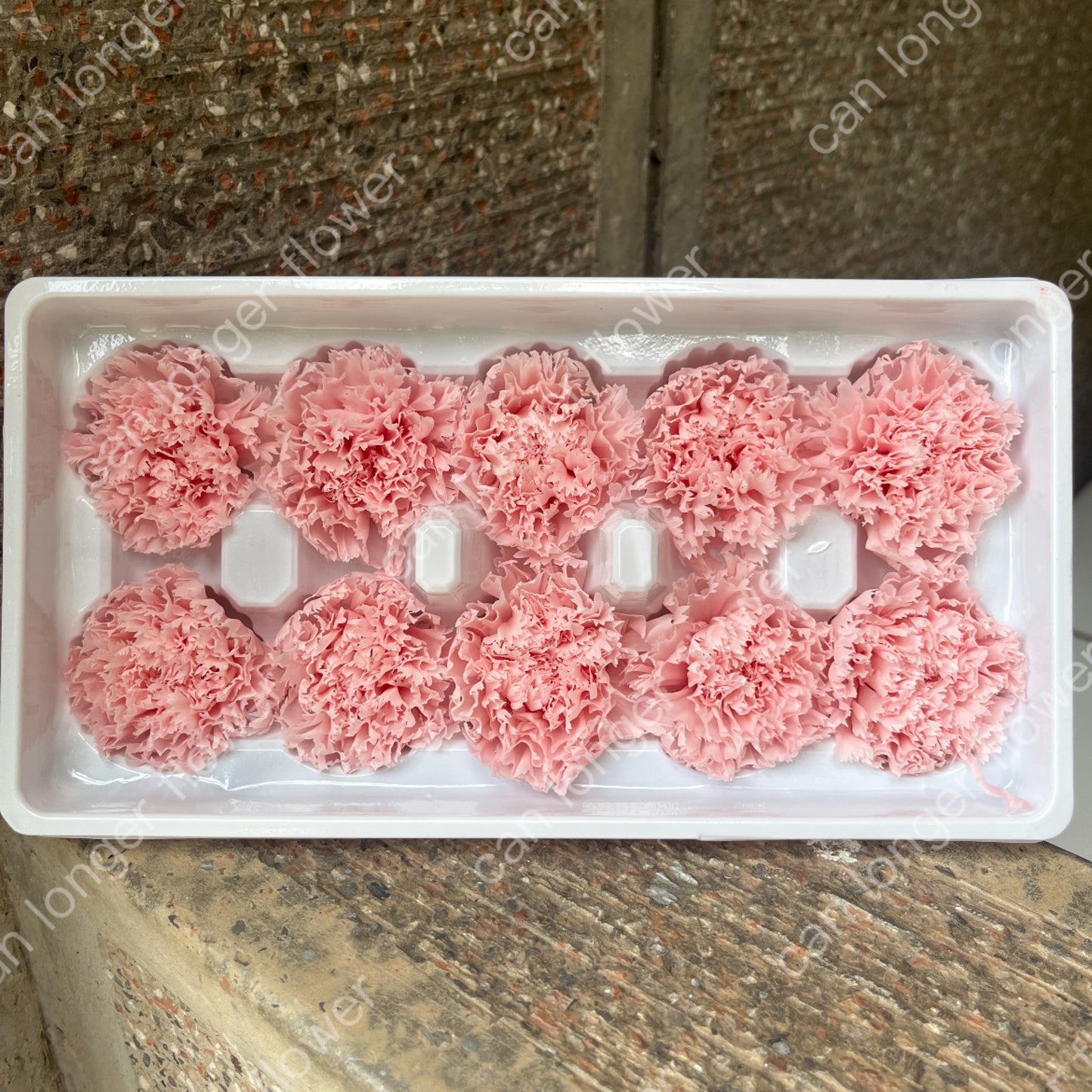 ✿ 台灣現貨 ✿ 花大伯 K10 永生康乃馨 3~4cm Ａ級  單朵裝