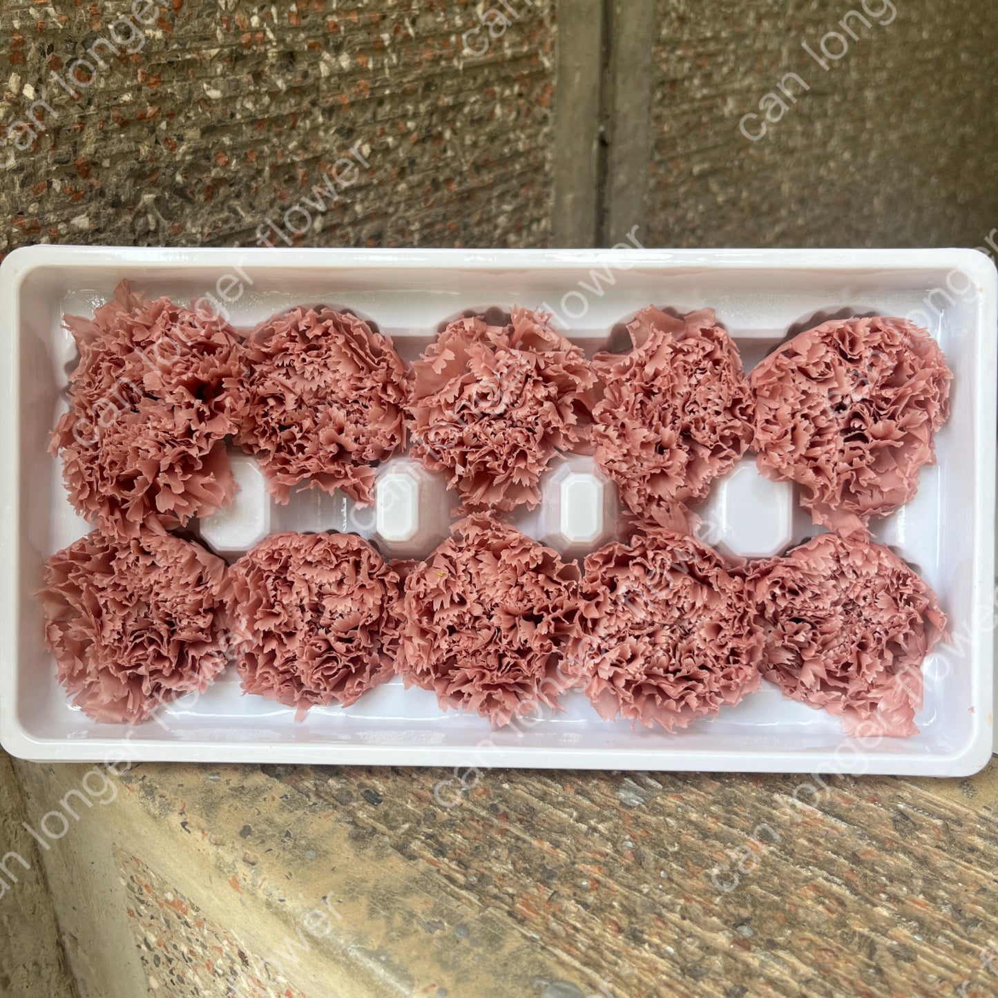 ✿ 台灣現貨 ✿ 花大伯 K10 永生康乃馨 3~4cm Ａ級  10朵裝 色彩款式齊全 不凋花 不凋康乃馨 母親節