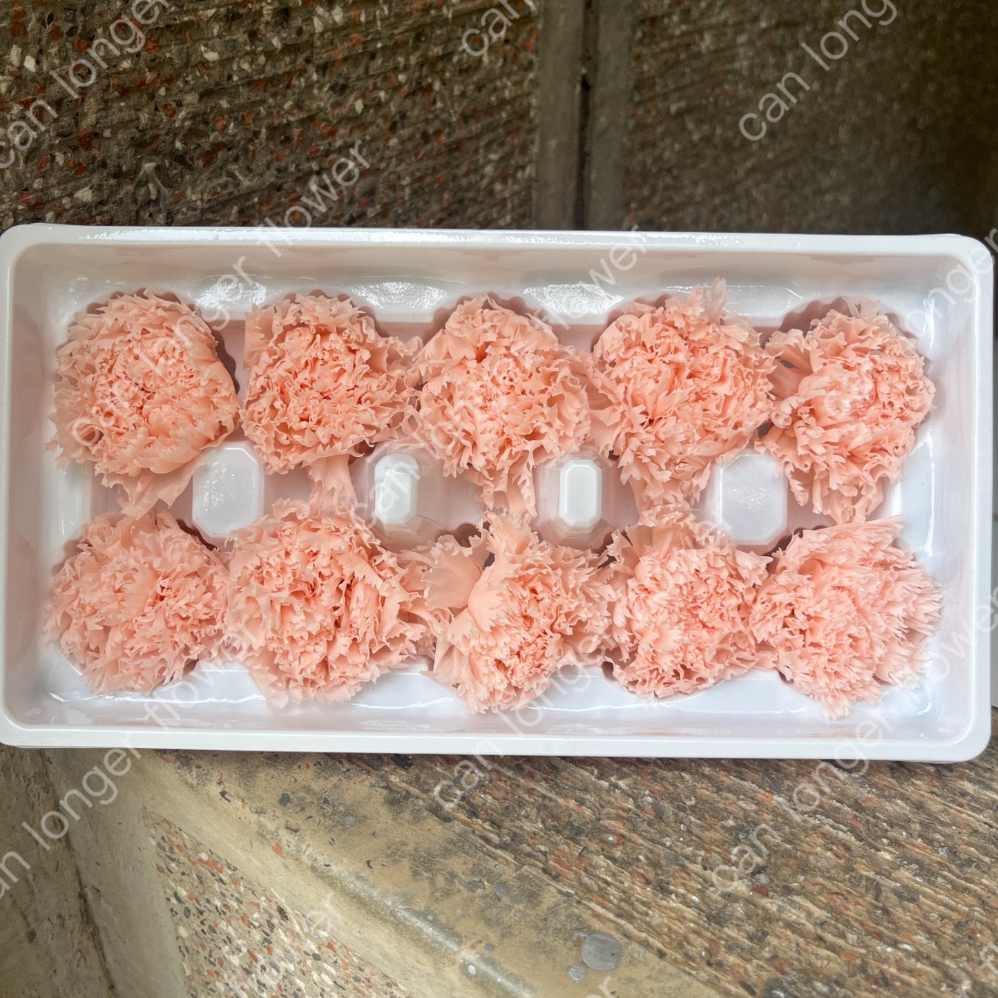 ✿ 台灣現貨 ✿ 花大伯 K10 永生康乃馨 3~4cm Ａ級  單朵裝