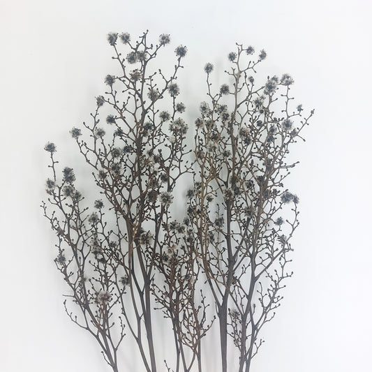 【台灣現貨】pa016虎眼 永生小份