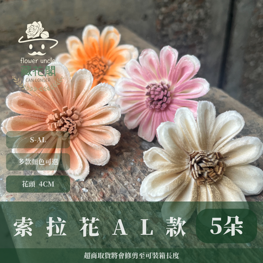 ✿ 台灣現貨 ✿ S-AL 索拉花 4CM 通草花 擴香花 太陽菊 非洲太陽