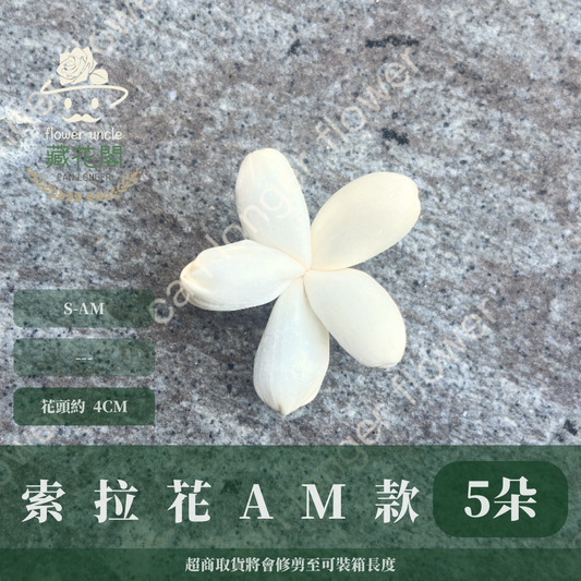 ✿ 台灣現貨 ✿ S-AM 索拉花 4CM 通草花 擴香花 小雛菊