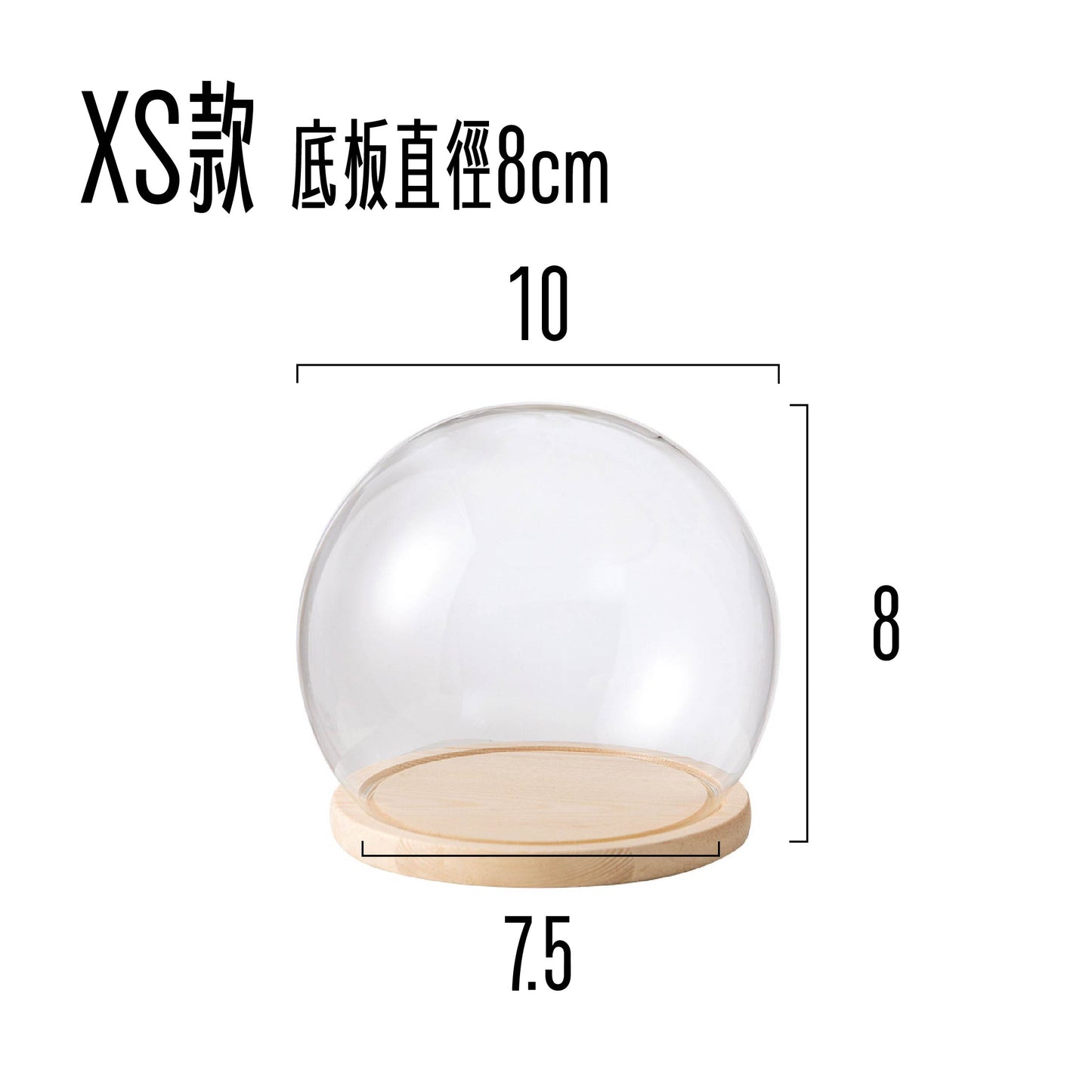 罩盅XS(單玻璃)