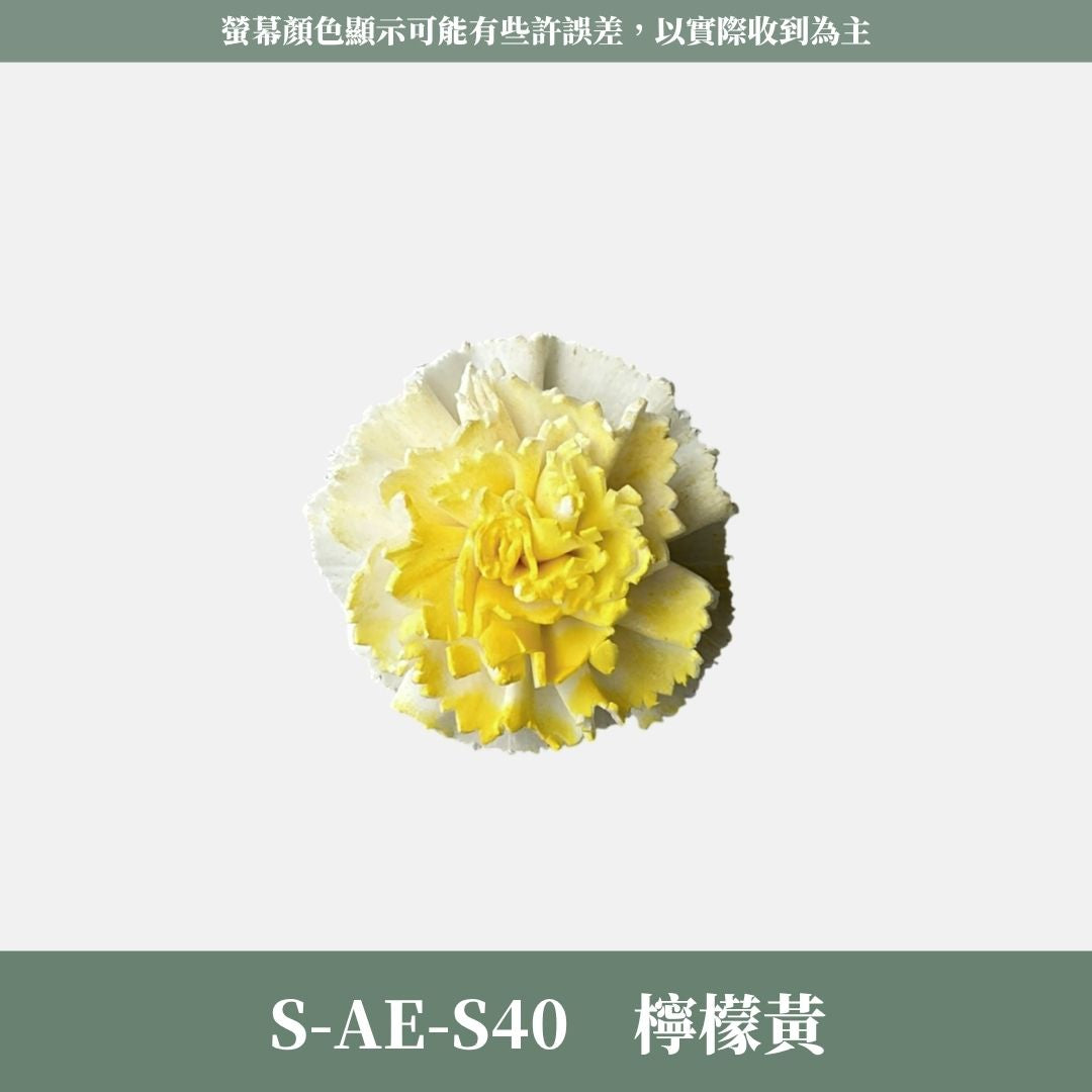 S-AE 4CM康乃馨索拉花花頭｜乾燥花 母親節擴香花 康乃馨花束 母親節花禮 DIY手作 乾燥花花束花禮 乾燥通草花頭