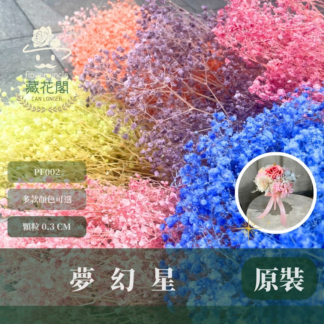 PF002 原裝夢幻星｜A級漂色滿天星 特級漂白滿天星 夢幻滿天星 永生花  乾燥花 拍照道具 店面佈置 DIY手作