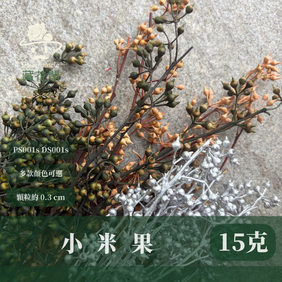 PS001s DS001s 小米果經濟包｜小米尤加利 尤加利果 桉樹果 永生花 乾燥花 居家裝飾花材 手作花材 花藝設計