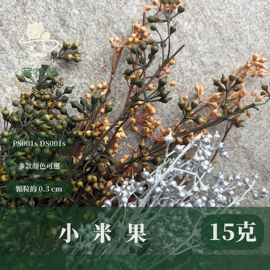 PS001s DS001s 小米果經濟包｜小米尤加利 尤加利果 桉樹果 永生花 乾燥花 居家裝飾花材 手作花材 花藝設計