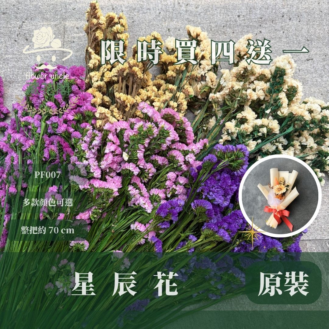 PF007 原裝星辰花｜買四送一｜永生勿忘我 不凋花 永生花材 花藝材料 婚禮花束 DIY捧花 拍照道具 花藝師必買