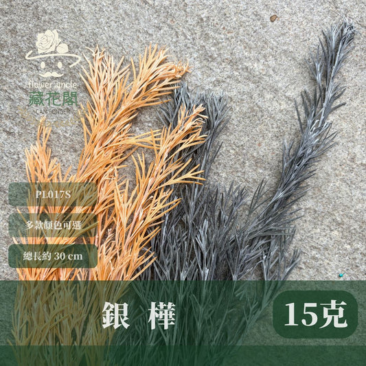 PL017S 銀樺經濟包｜不凋銀樺葉 永生花葉材 乾燥花 花藝配材 diy材料包 花藝批發 拍照道具 店面佈置 桌花材料