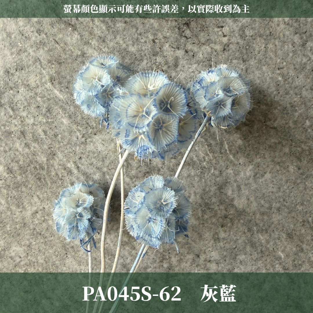 PA045S 松蟲果經濟包｜永生風車果 松蟲草 天然乾燥花材 拍攝道具 星芒松蟲 永生花草星花 輪峰菊 藍盆花 花藝果實