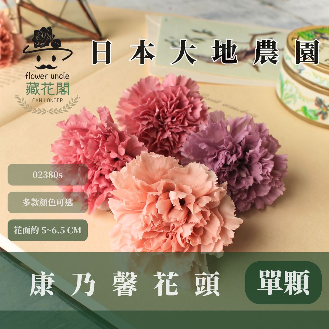 02380s 日本大地農園康乃馨｜買8朵只要1044元｜日本進口 母親節永生康乃馨 永生花 不凋花 母親節花束手作材料