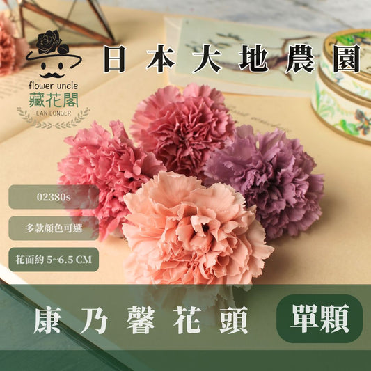 02380s 日本大地農園康乃馨｜買8朵只要1044元｜日本進口 母親節永生康乃馨 永生花 不凋花 母親節花束手作材料