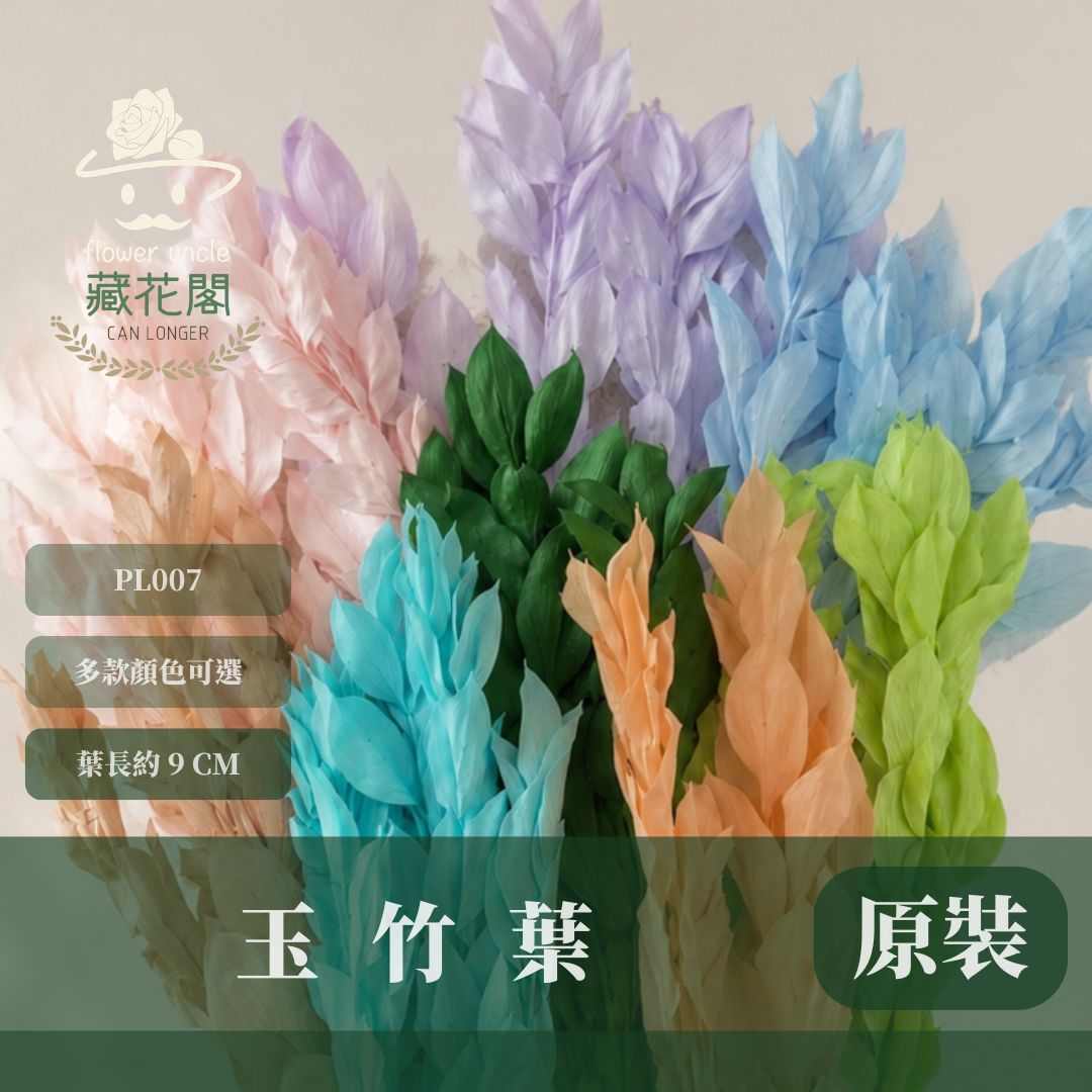 PL007 原裝玉竹葉｜夢幻紫色新登場｜進口不凋玉竹葉 永生桔葉 永生葉材 魚尾葉 桌花 乾燥葉材 花藝材料包 捧花