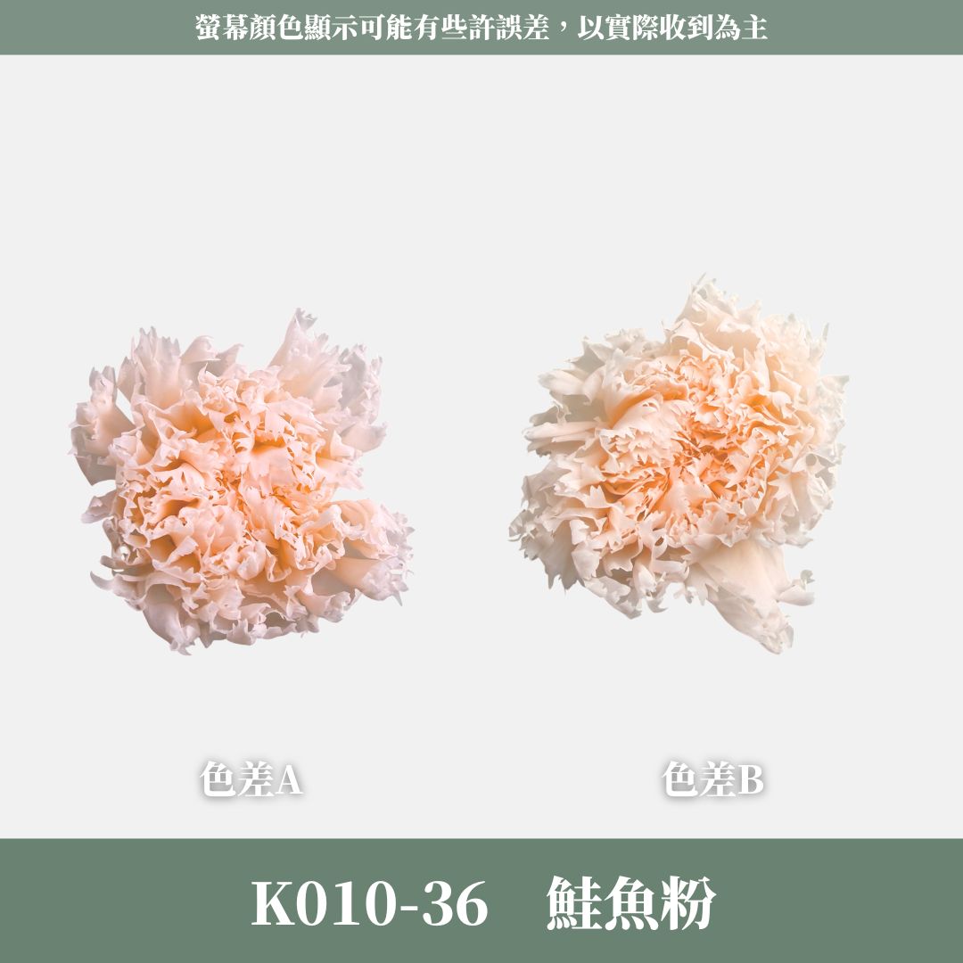 K10 原裝A級康乃馨｜全網最便宜，原價450虧本賣！進口永生約4~5cm康乃馨 康乃馨母親節花束材料 不凋花