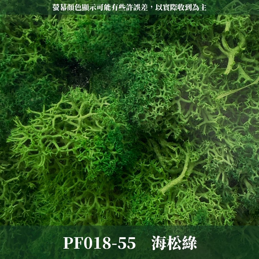 PF018 原裝永生馴鹿苔｜特級永生水草 微景觀水苔 苔蘚造景 乾燥花 不凋花 永生花藝材料 撲底用草 假草皮 moss