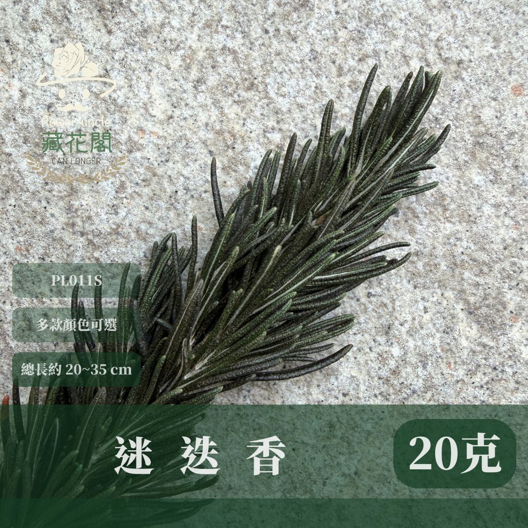 PL011S 迷迭香經濟包｜花藝用｜不凋花裝飾 香草植物 永生香草 乾燥香草 花藝材料 花束材料 花圈材料 DIY材料包