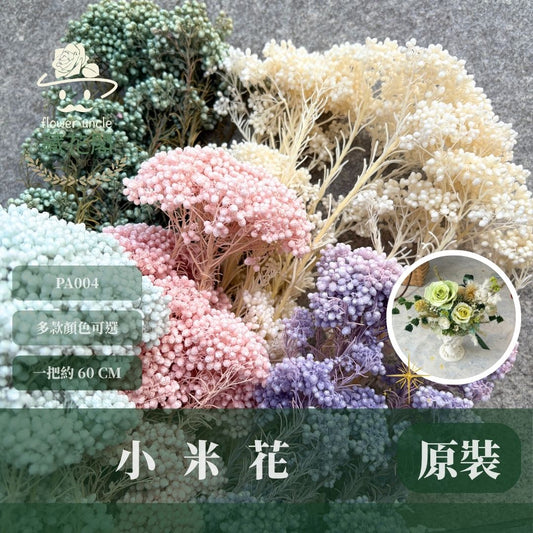PA004 原裝米香｜永生水稻花 不凋小米花 花束配材 乾燥花 桌花 花盅 插花 花藝師 CP質教學材料 永生花居家佈置