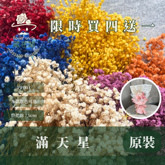 PF001 原裝滿天星｜買四送一！A級永生滿天星工廠直供 拍攝婚禮佈置 韓式不凋滿天星 抖音款永生花 乾燥花 桌花花束