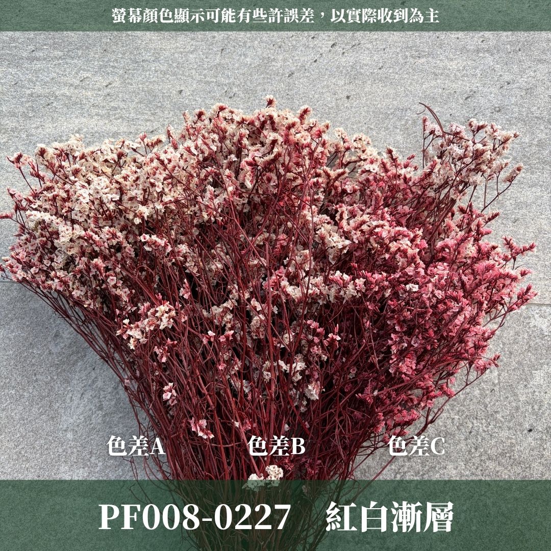 PF008 原裝水晶花｜買四送一｜花藝師必買！永生水晶花 不凋水晶花 手作花材 花藝DIY 雪花草 花材 浮游花 乾燥花