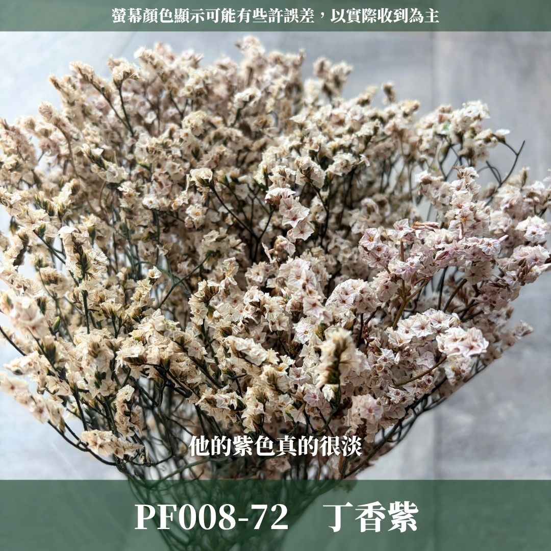 PF008 原裝水晶花｜買四送一｜花藝師必買！永生水晶花 不凋水晶花 手作花材 花藝DIY 雪花草 花材 浮游花 乾燥花