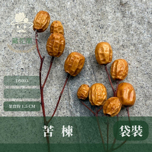 DS003 苦楝經濟包｜10顆｜花藝果實設計 台灣花材 永生果實 乾燥果實 畢業季花材 日系插花 拍照道具 咖啡廳裝飾