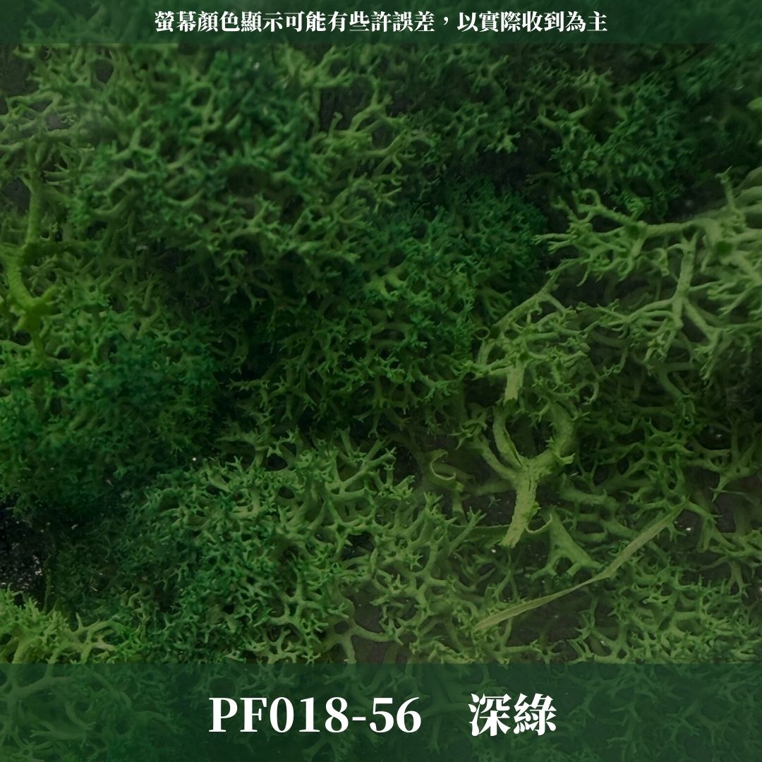 PF018 原裝永生馴鹿苔｜特級永生水草 微景觀水苔 苔蘚造景 乾燥花 不凋花 永生花藝材料 撲底用草 假草皮 moss