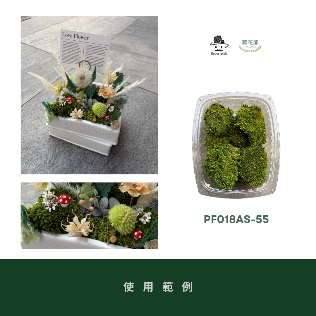 PF018AS 白髮蘚經濟包｜鋪面永生青苔 微景觀苔蘚造景 苔蘚生態造景DIY 植物墻 建築模型材料 苔球 高級花藝苔蘚