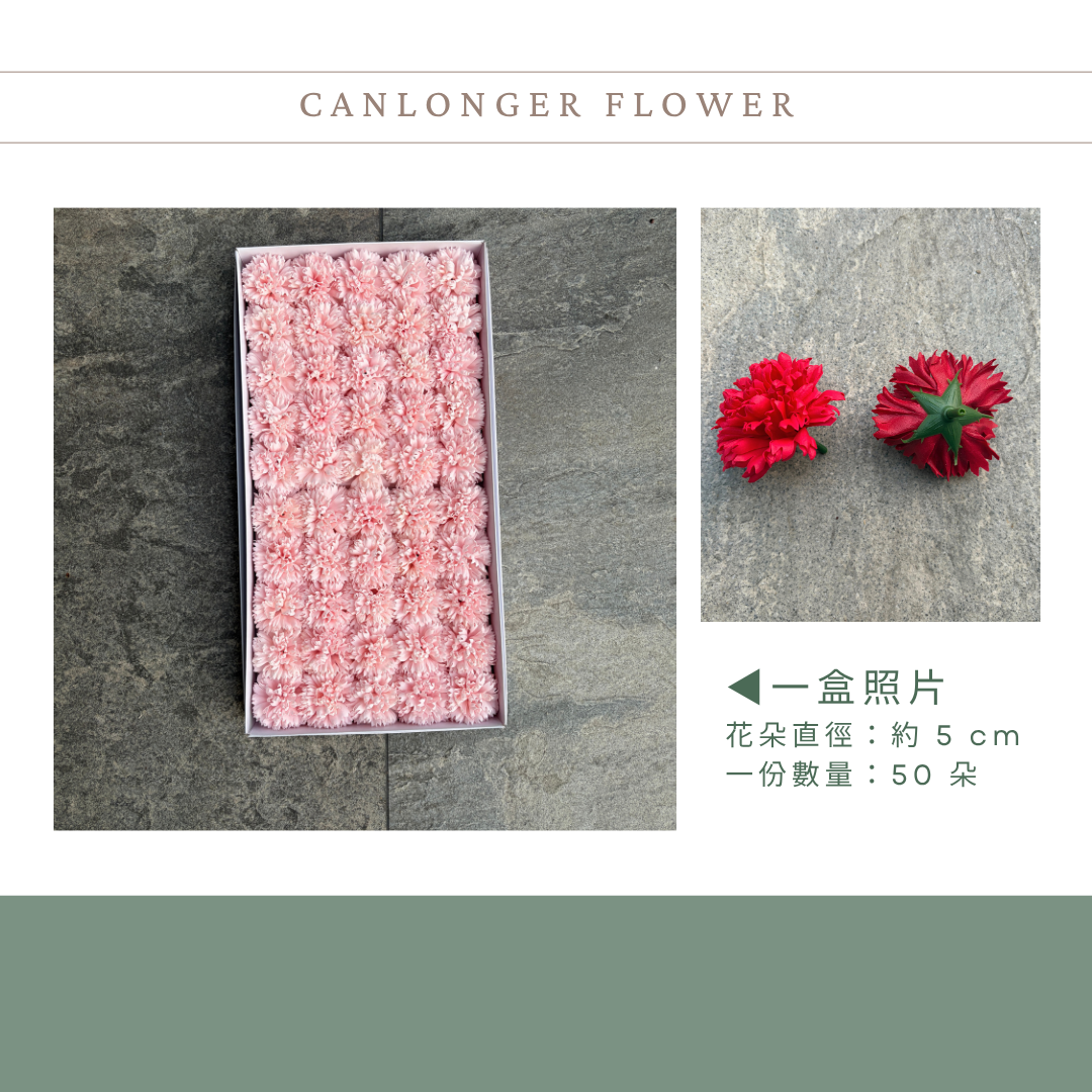 AS002 原裝康乃馨香皂花｜50入！韓式康乃馨香皂花 花束DIY 母親節禮物 仿真肥皂花 康乃馨花頭 仿真花 肥皂花