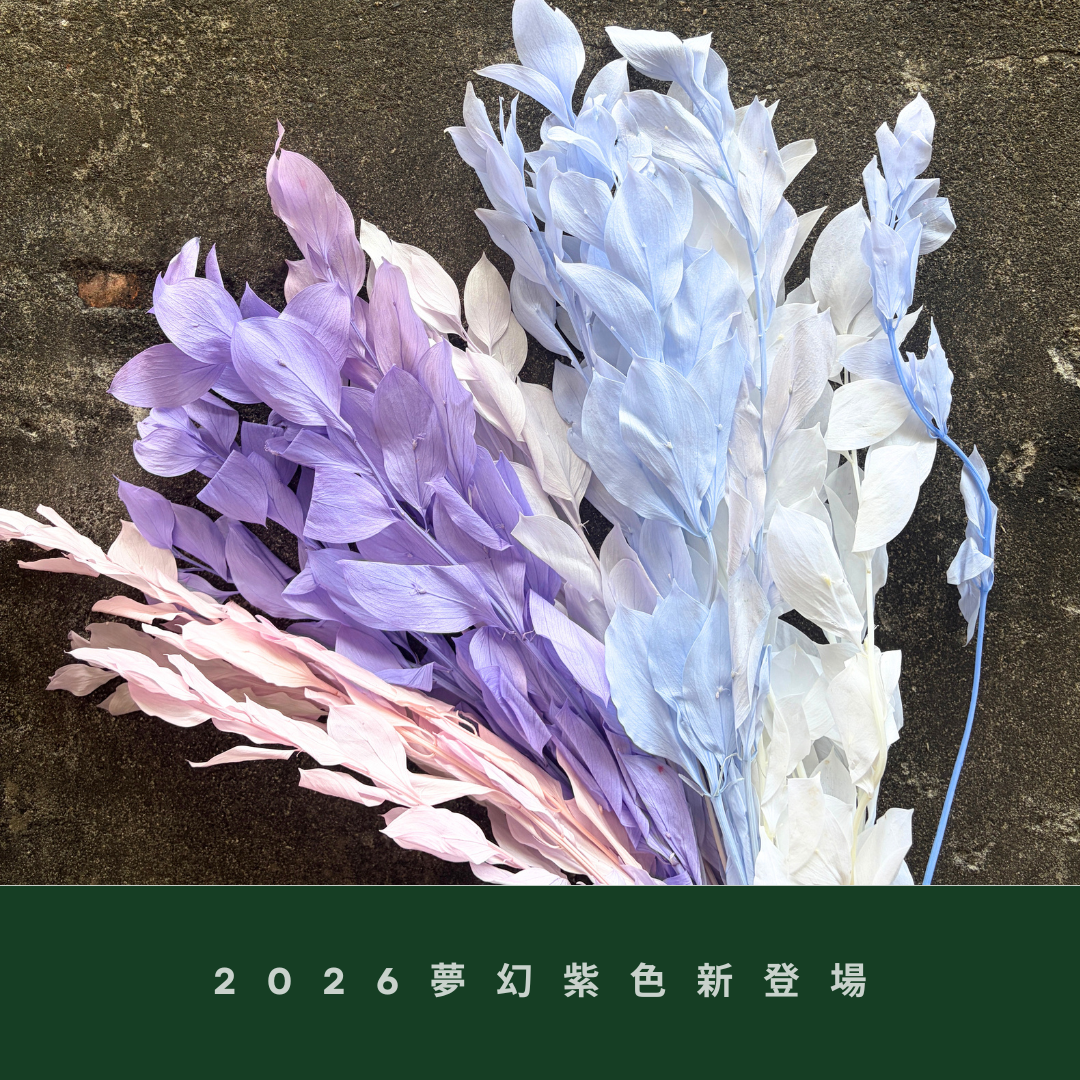 PL007 原裝玉竹葉｜夢幻紫色新登場｜進口不凋玉竹葉 永生桔葉 永生葉材 魚尾葉 桌花 乾燥葉材 花藝材料包 捧花
