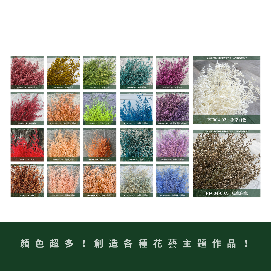 PF004 原裝卡斯比亞｜買五送一！花藝師必買 情人花 永生卡斯比雅 永生花手作DIY 不凋花材 韓式乾燥花材配花 婚禮