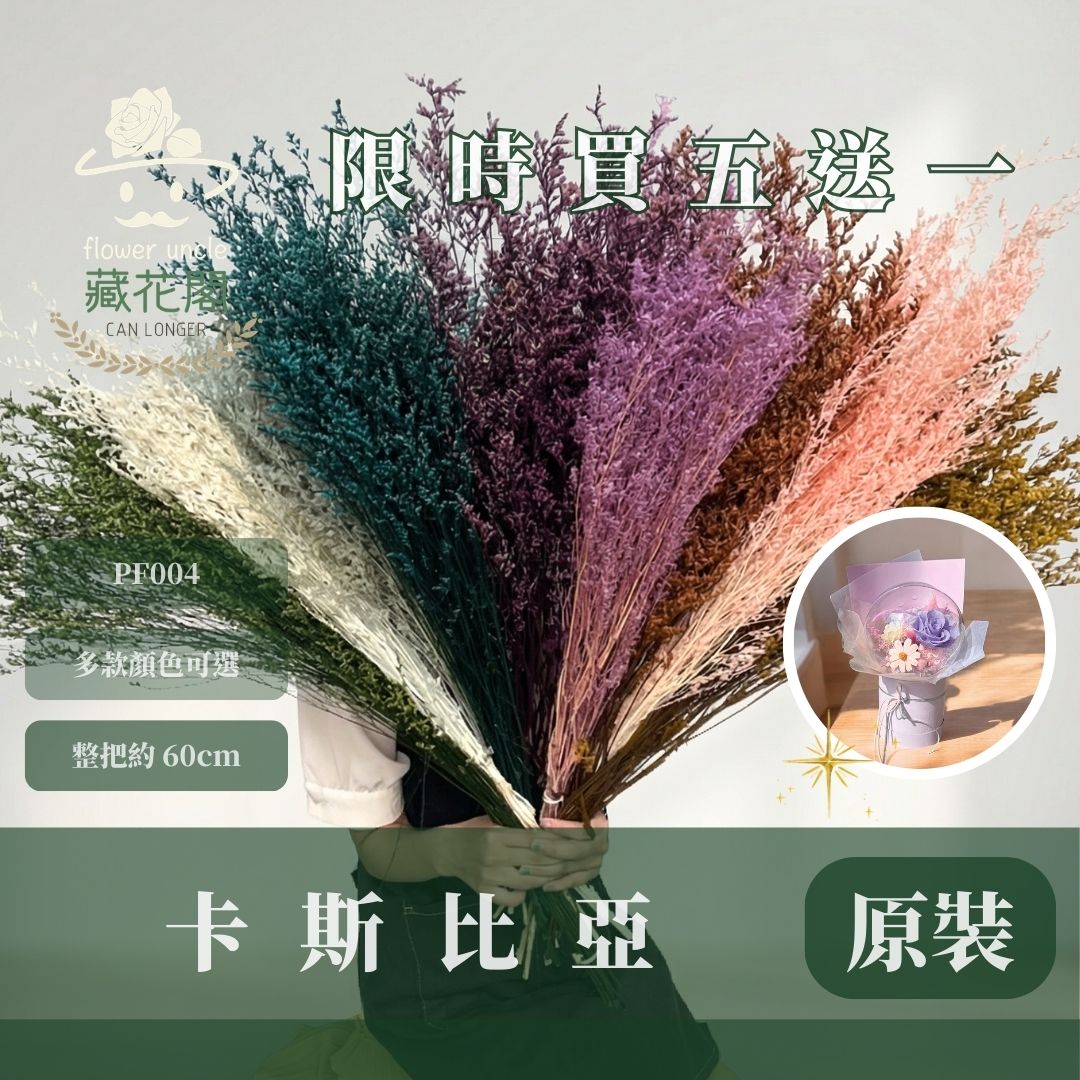 PF004 原裝卡斯比亞｜買五送一！花藝師必買 情人花 永生卡斯比雅 永生花手作DIY 不凋花材 韓式乾燥花材配花 婚禮