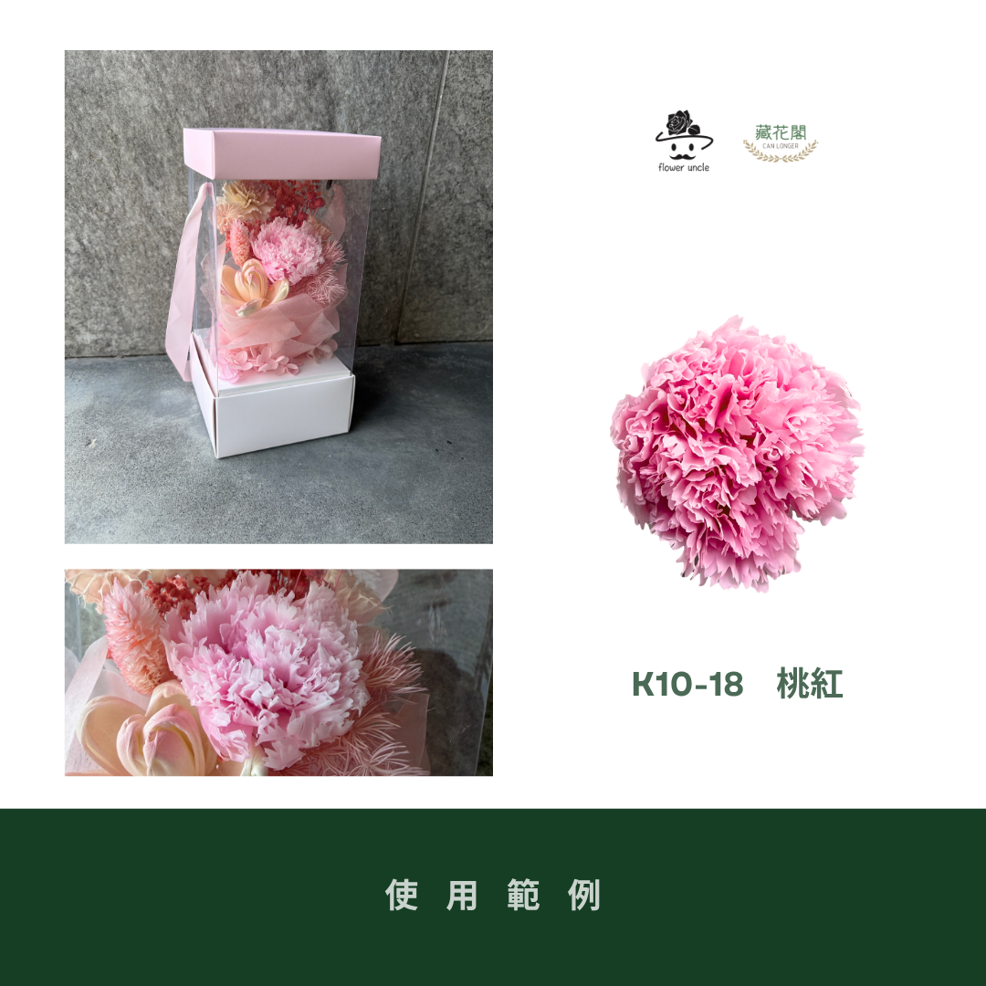 K10 原裝A級康乃馨｜全網最便宜，原價450虧本賣！進口永生約4~5cm康乃馨 康乃馨母親節花束材料 不凋花