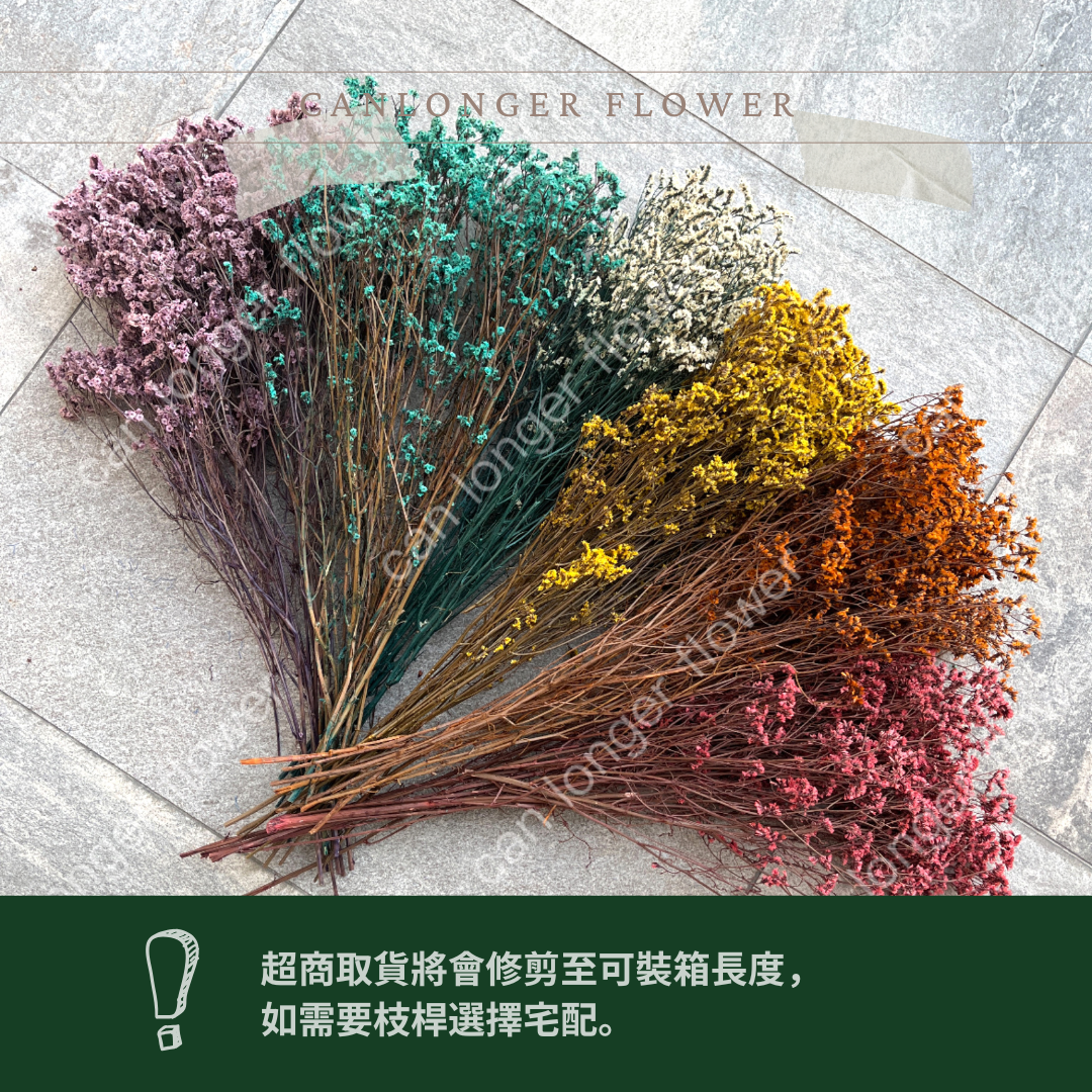 PF008 原裝水晶花｜現貨