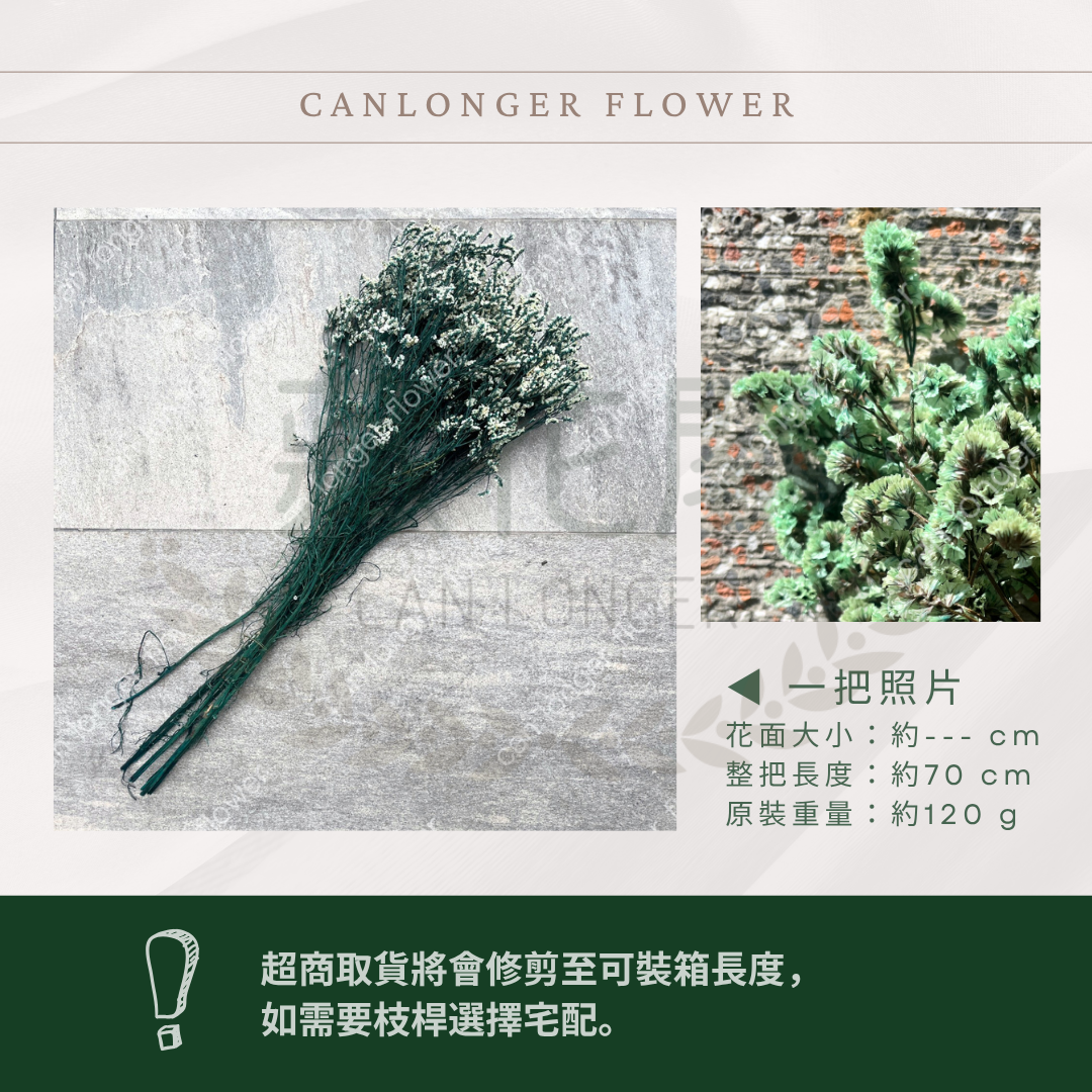 PF008 原裝水晶花｜現貨