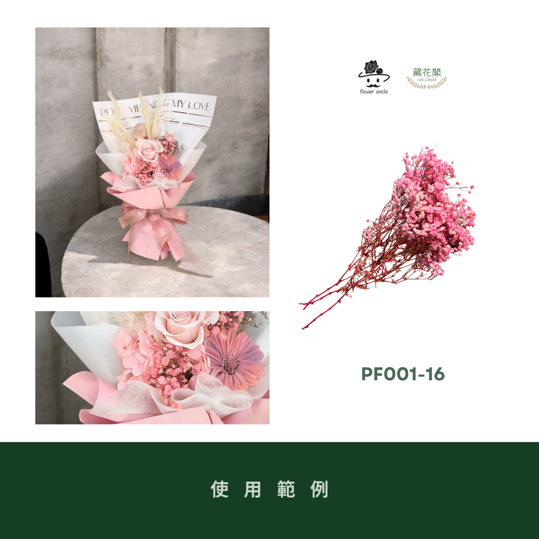 PF001 原裝滿天星｜買四送一！A級永生滿天星工廠直供 拍攝婚禮佈置 韓式不凋滿天星 抖音款永生花 乾燥花 桌花花束