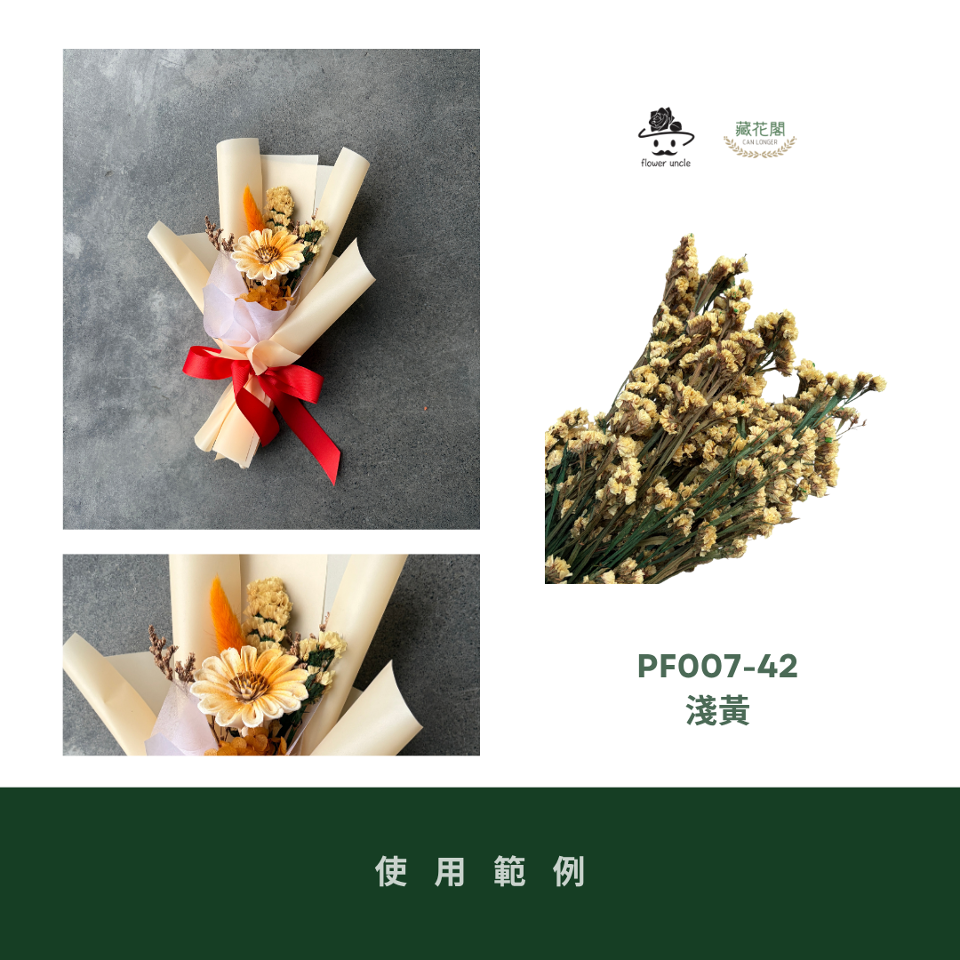 PF007 原裝星辰花｜買四送一｜永生勿忘我 不凋花 永生花材 花藝材料 婚禮花束 DIY捧花 拍照道具 花藝師必買