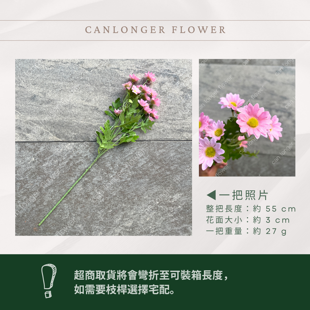 AF067 仿真洋甘菊
